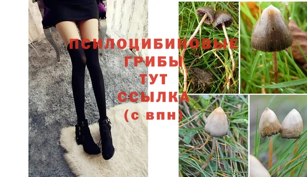 стаф Алексеевка