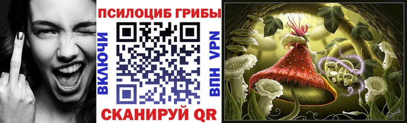 кракен ССЫЛКА Буй Псилоцибиновые грибы Cubensis