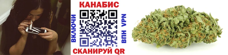 как найти закладки  Буй  Конопля THC 21% 
